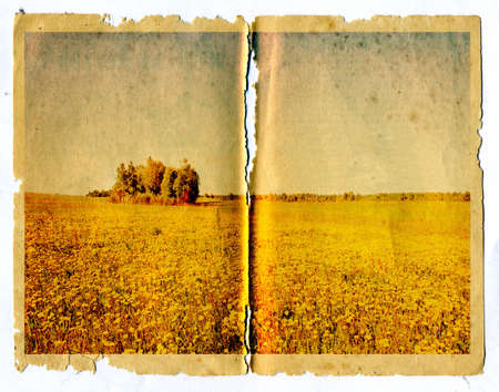 grunge backgroundの写真素材