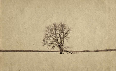 grunge backgroundの写真素材