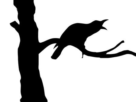 silhouette ravens on branch treeのイラスト素材