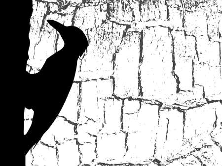 silhouette woodpecker on wood backgroundのイラスト素材