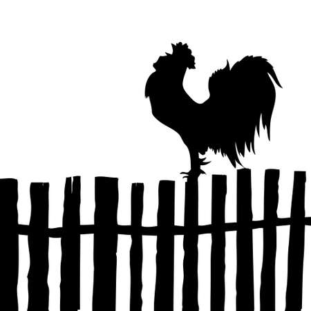 silhouette of the cock on old fenceのイラスト素材
