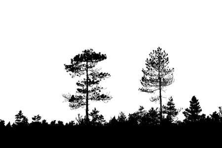 silhouette wood on white backgroundのイラスト素材