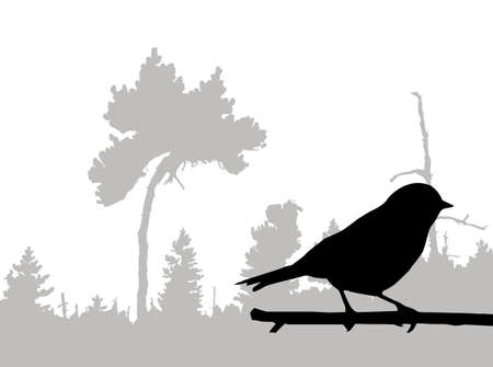 silhouette of the bird on branchのイラスト素材