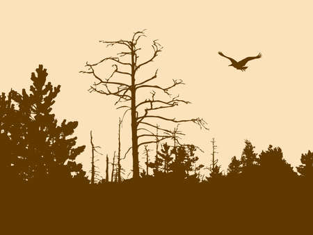 silhouette old wood on brown background  のイラスト素材