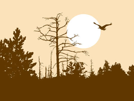 silhouette old wood on brown background  のイラスト素材