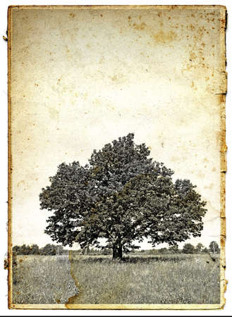 aging photographyの写真素材