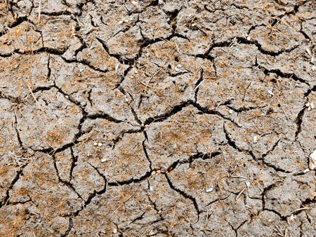 dry land with rift   