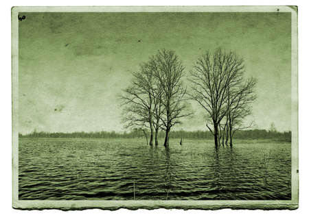 aging photographic paperの写真素材