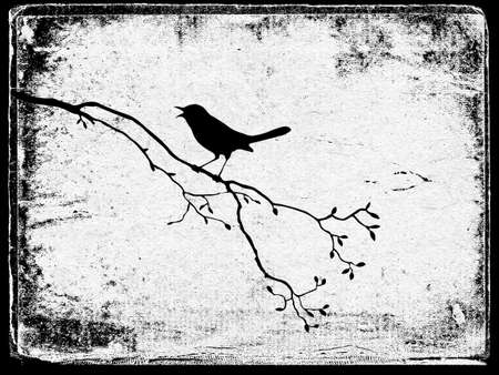 grunge backgroundの写真素材