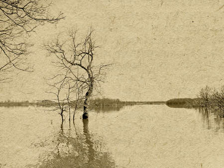 grunge backgroundの写真素材