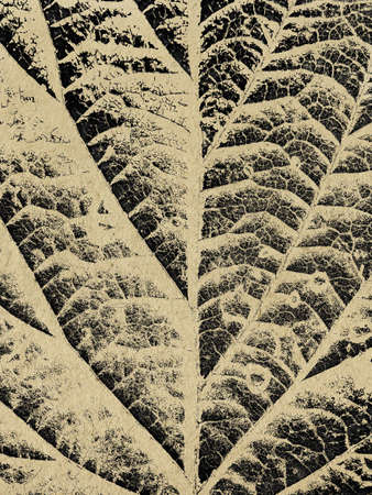 grunge backgroundの写真素材