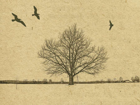 grunge backgroundの写真素材