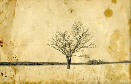 grunge backgroundの写真素材