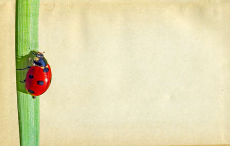 grunge backgroundの写真素材