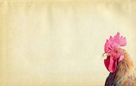 grunge backgroundの写真素材