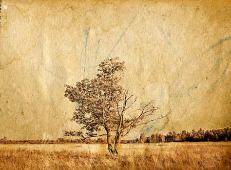 grunge backgroundの写真素材