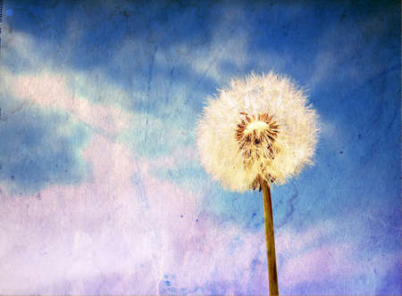 grunge backgroundの写真素材