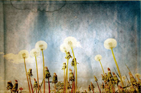 grunge backgroundの写真素材