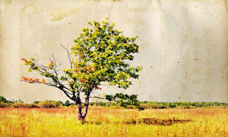 grunge backgroundの写真素材