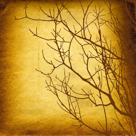 page of the old bookの写真素材