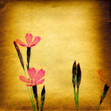 grunge backgroundの写真素材