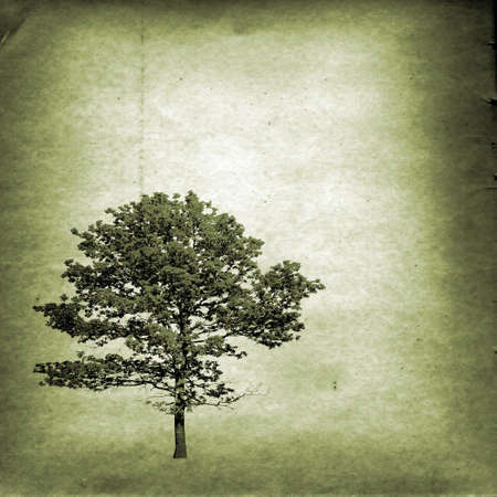 grunge backgroundの写真素材