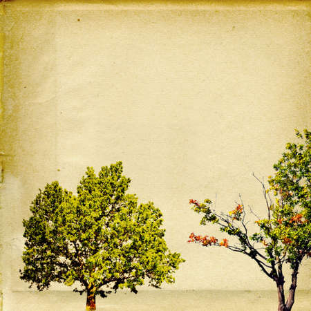 grunge backgroundの写真素材