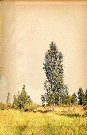 grunge backgroundの写真素材