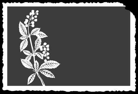 vector drawing of the plant のイラスト素材
