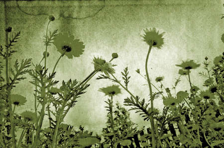 grunge backgroundの写真素材