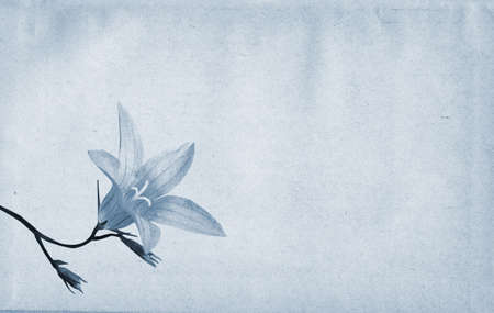 grunge backgroundの写真素材