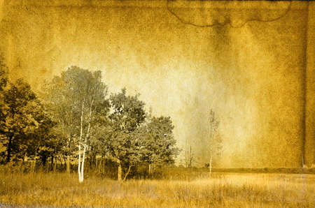 grunge backgroundの写真素材