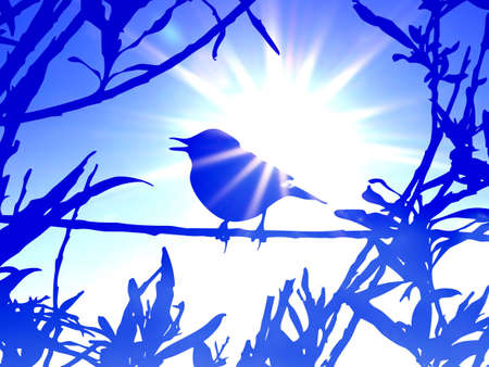 bird on branch amongst sheet    の写真素材