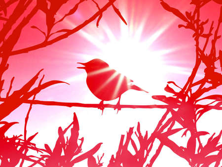 bird on branch amongst sheet    の写真素材