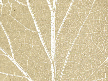 grunge background
