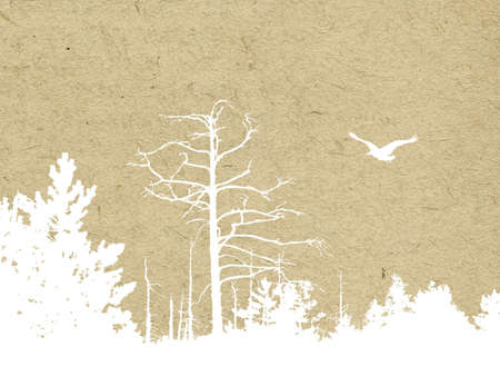 texture of the old paperのイラスト素材