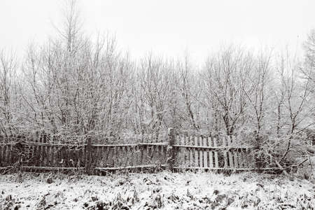 old fenceの写真素材