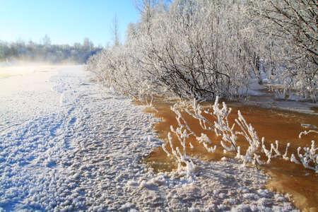 river water in snow bushの写真素材