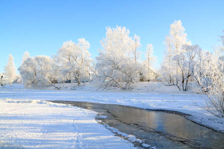 snow tree on coast river