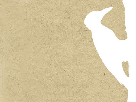 grunge backgroundのイラスト素材