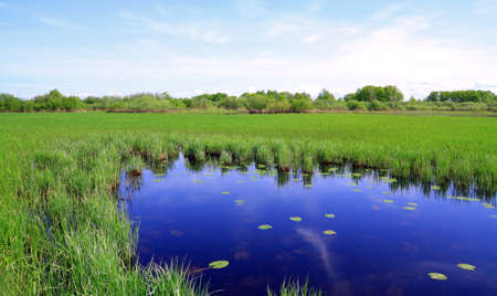 small lake on spring fieldの写真素材