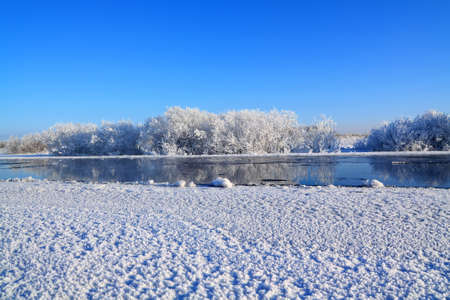 snow bushes near winter riverの写真素材