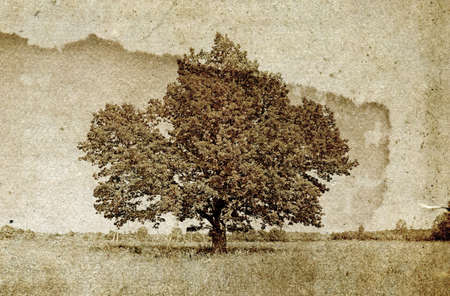 grunge background の写真素材