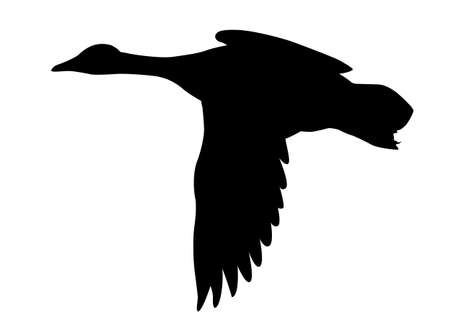 vector silhouette flying ducks on white backgroundのイラスト素材