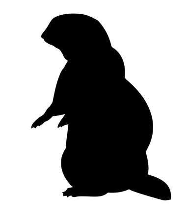 vector silhouette gopher on white backgroundのイラスト素材