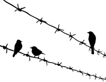vector silhouette three birds on barbed wireのイラスト素材