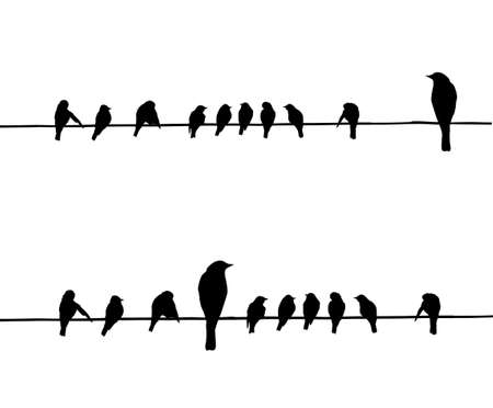 vector silhouettes of the birds on wireのイラスト素材