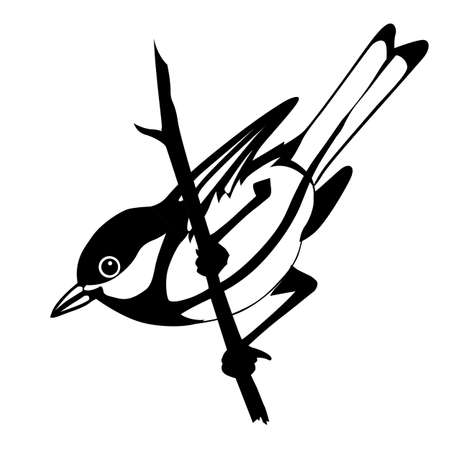 vector silhouette of the bird on white backgroundのイラスト素材