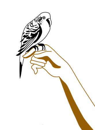 silhouette of the parrot on handのイラスト素材