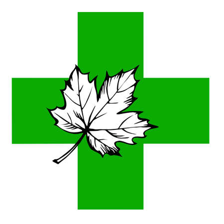maple leaf on green crossのイラスト素材